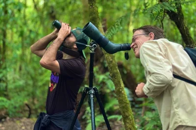 Découvrez la forêt de nuages de monteverde lors d’une balade guidée avec un expert local certifié. observez la faune, visitez la galerie des colibris et savourez une gourmandise costaricaine mai