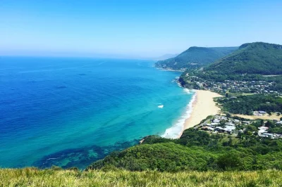 Descubre southern highlands y la costa sur desde sídney con un guía local. pasea entre copas de árboles, visita el blowhole de kiama, prueba vinos regionales y disfruta del traslado desde tu hotel.