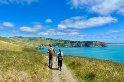 Walk the godley head loop from christchurch with a local guide, explore wwii landmarks, spot wildlife, and enjoy a seaside picnic lunch. includes hotel pickup.