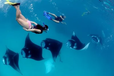 Erlebe nusa penidas mantarochen, bunte schnorchelspots und beeindruckende klippen bei einem geführten tagesausflug ab bali. inklusive mittagessen, transport und lokalem guide.