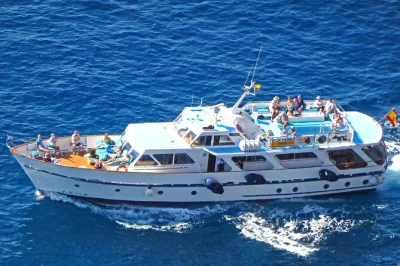 Experience whale watching near valle gran rey, swim off la gomera’s volcanic coast, enjoy tapas on a vintage boat, and relax with a friendly local crew.