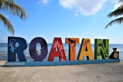 Explore roatan with a local guide—meet sloths, sample chocolate and rum, enjoy private transport, and take in island views. includes pickup from your hotel or port.
