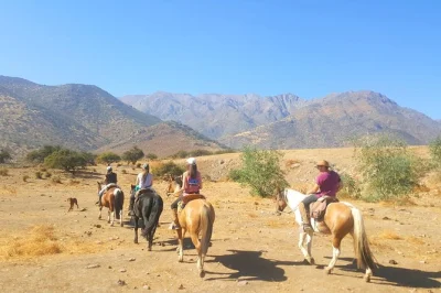 Partez à cheval dans les contreforts des andes près de santiago avec un guide local bilingue. transport depuis l’hôtel inclus, aventure de 2h30 à cheval au cœur des paysages incroyables.
