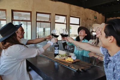 Scopri la cantina rondo del valle a valle de guadalupe con un tour guidato, assaggia 5 vini unici e visita la cantina sotterranea con spiegazioni locali. accessibile a tutti.