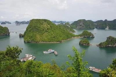 Experience halong bay’s limestone islets, explore sung sot cave, kayak luon cave, and relax at titop beach on a day cruise with lunch and port pickup included.