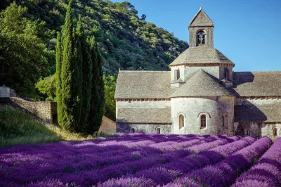 Scopri i campi di lavanda di sault partendo da avignone, visita una distilleria attiva, assaggia il gelato alla lavanda e goditi soste fotografiche con una guida e un piccolo gruppo—trasporto inclus
