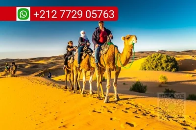 Ride camels across erg chebbi dunes, sleep in a berber camp under sahara stars, enjoy local music and mint tea. includes dinner, breakfast, and pickup in merzouga.