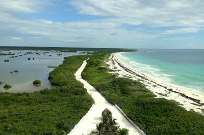 Scopri il parco nazionale punta sur a cozumel, osserva i coccodrilli, sali sul faro e rilassati sulle spiagge selvagge con guida privata e pranzo incluso.