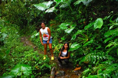 Découvrez la forêt de nuages de bucay en Équateur, randonnez jusqu’à trois cascades, visitez un trapiche traditionnel et savourez un déjeuner local. transport privé et prise en charge à l’h
