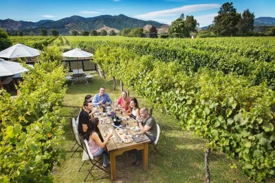 Explore marlborough’s top wineries including cloudy bay, enjoy premium tastings, a gourmet 2-course lunch, and hotel pickup. taste, relax, and discover.