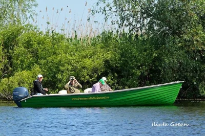 Feel the hush of the danube delta on a private birdwatching day trip with a local guide, boat included. spot rare birds, explore unique habitats, and enjoy easy logistics.