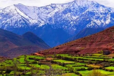 Explore morocco’s ourika valley and atlas mountains on a day trip from marrakech, with hotel pickup, local guide, and stops in berber villages and setti fatma.