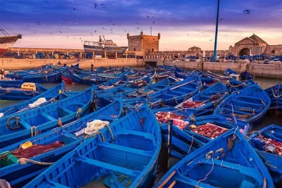 Découvrez la médina d’essaouira, ses remparts et ses marchés locaux lors d’une excursion d’une journée depuis agadir. transfert, arrêt chez les producteurs d’huile d’argan et balade gui