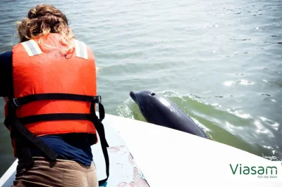 Découvrez les mangroves de guayaquil en bateau, observez dauphins et oiseaux sauvages, rencontrez des pêcheurs locaux et savourez un déjeuner frais de fruits de mer équatoriens. prise en charge à