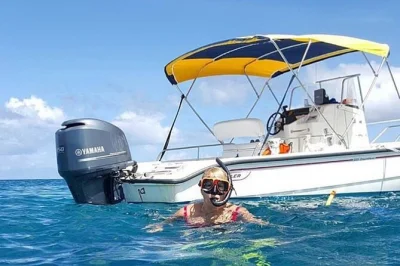 Entdecke turks & caicos bei einer privaten bootstour – schnorchle am emerald reef, triff leguane auf little water cay, bestaune das wrack la famille und genieße ein mittagessen auf fort george cay.