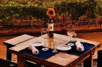 All-inclusive private wein-tour im valle de guadalupe. grenzwartezeiten umgehen, küsten-brunch genießen, zwei weinbergverkostungen und ein feines abendessen für gruppen.