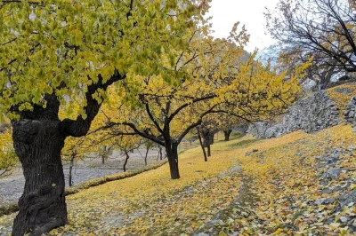 Discover hunza valley in autumn—attabad lake, khunjerab pass, forts, and vibrant villages. book your multi-day tour for real local experiences.