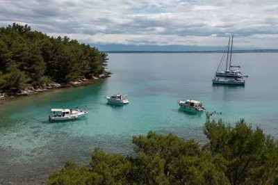 Sal de zadar en una excursión en barco de medio día, nada en calas escondidas, haz snorkel en aguas cristalinas y descubre pueblos isleños. incluye patrón local y equipo.
