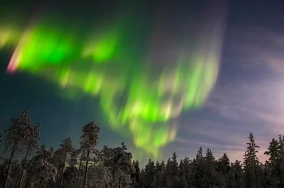 Chase the northern lights in levi with a local guide, enjoy hot drinks, get night photography tips, and receive your own photos after the tour. includes thermal gear.
