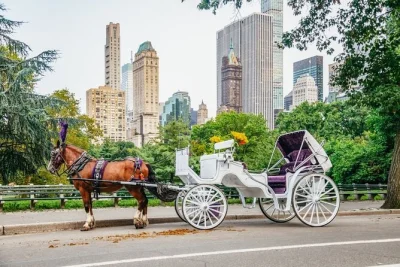 Experience central park by private horse carriage with a local guide, two photo stops at bethesda fountain and cherry hill, plus warm blankets in winter. includes all fees.