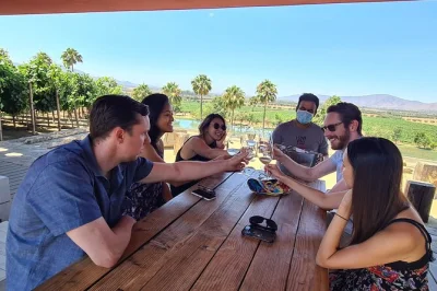 Scopri il valle del vino guadalupe vicino ensenada con una guida privata, assaggia vini locali e gusta una cena di aragosta a puerto nuevo. trasporto e pick-up inclusi.