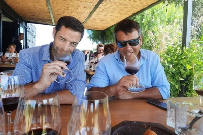 Descubre luján de cuyo en mendoza con un tour privado de vinos, degustaciones en bodegas top, guía local y transporte con aire acondicionado. recogida incluida.