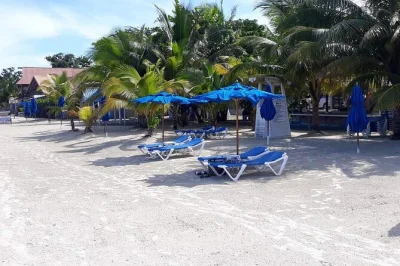 Relax on negril’s 7 mile beach, watch cliff divers at rick’s café, and enjoy private transport with a local guide. includes hotel pickup and flexible timing.