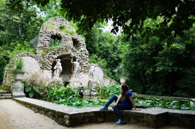 Scopri i panorami di dubrovnik e l’arboreto di trsteno del xv secolo in un tour privato con pick-up, auto climatizzata e guida locale esperta.
