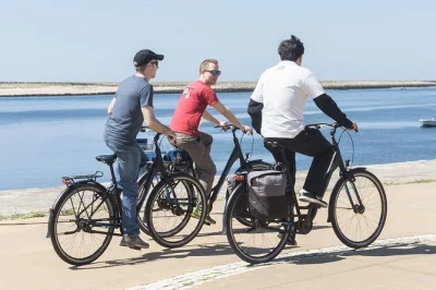 Vivi porto in bici con noleggio city bike, consigli degli esperti locali, mappe dettagliate e tutta l’attrezzatura inclusa. ritiro flessibile, bici per famiglie e dritte da veri insider.
