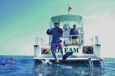 Explorez le récif corallien de key west lors d’une sortie snorkeling en petit groupe, détendue et conviviale. deux arrêts sur le récif, tout le matériel fourni, équipe sympa et prise en charge