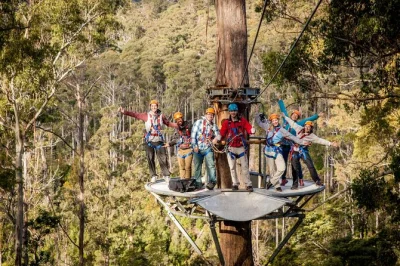 Erlebe den kick auf tasmaniens hollybank zipline-tour über den blue gum-wald und den piper river – in kleiner gruppe mit erfahrenen guides. inklusive kompletter ausrüstung.