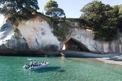 Découvrez whitianga autrement avec une balade en bateau dans les grottes marines, la côte volcanique et une halte à cathedral cove—matériel de snorkeling et guide local inclus.