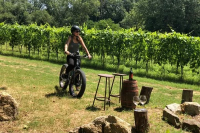 Explore os vinhedos de montepulciano de e-bike, prove vinhos rosso e nobile em duas adegas locais e aproveite um passeio tranquilo com horários flexíveis e opções de almoço.