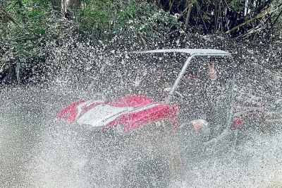 Feel the rush on a 50-minute utv ride through naguabo’s wild trails, river crossings, and el yunque scenery. includes vehicle rental and local guide support.