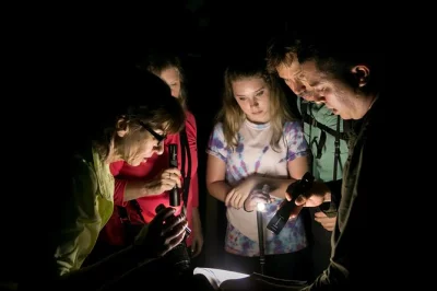 Erlebe den manuel antonio dschungel bei nacht mit kleinem guide-team. entdecke frösche, schlangen & mehr – gummistiefel und taschenlampen inklusive.
