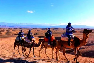 Feel the cool atlas air, walk berber villages, sip tea with locals, and ride a camel—all in one day trip from marrakech. includes pickup and local guide.