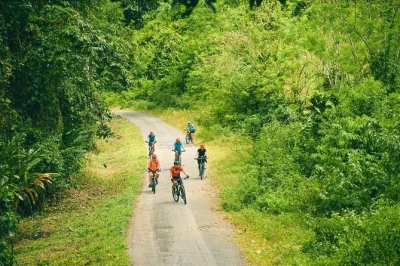 Pedala tra sentieri rurali vicino al lago arenal e al vulcano arenal. tour guidato in mountain bike con consigli locali, attrezzatura, snack di frutta e panorami autentici della costa rica.