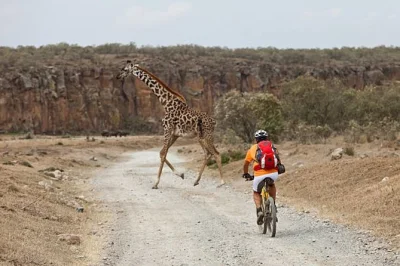 Partez tôt de nairobi, explorez hell's gate à vélo avec un guide privé, baladez-vous dans les gorges, puis terminez par une sortie en bateau sur le lac naivasha. prise en charge à l'hôtel inclus