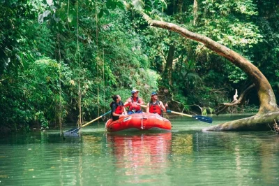 Avventura rilassante nella giungla vicino la fortuna. avvista scimmie, uccelli e bradipi sul fiume sarapiqui. pranzo, snack e guida locale esperta inclusi.