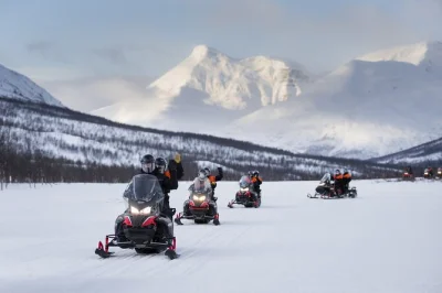 Feel the arctic wind on a snowmobile adventure in tamokdalen, ride with a local guide, and share a warm meal in a sámi lavvu. includes transfer from tromsø.