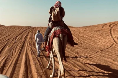 Feel the dubai desert come alive at sunset with dune bashing, sand boarding, camel rides, and a bbq dinner. includes hotel pickup and live shows.