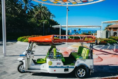 Scopri costa adeje in tuk tuk, esplora le piantagioni di banane di caldera del rey, visita i villaggi locali e ricevi consigli preziosi dalla guida. include il pick-up.