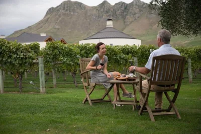 Laissez-vous surprendre par les vignobles de hawke’s bay : 4 dégustations, un plateau de fromages et des histoires locales, avec prise en charge incluse. vivez la région viticole en bonne compagni