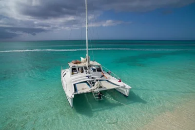 Feel the breeze off grace bay, snorkel vibrant reefs, and spot wild iguanas on a private catamaran tour with lunch, open bar, and hotel pickup included.