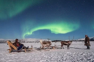 Step into sami culture near tromsø with reindeer sledding, hand-feeding a herd, candlelit camp dinner and stories by the fire. includes pickup & local guide.