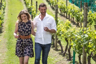 Sip waiheke’s best wines, meet local winemakers, and enjoy a relaxed lunch by onetangi beach. includes ferry or hotel pickup, tastings at 3 vineyards, and a local guide.
