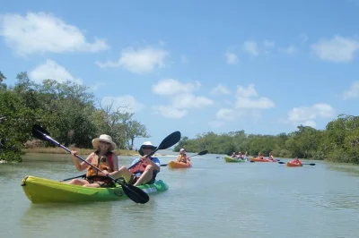 Découvrez les tunnels de mangroves et observez dauphins et lamantins lors d’une balade kayak guidée à bunche beach. matériel fourni, guide local et pause plage pour chercher des coquillages.