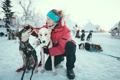 Feel the rush of mushing your own husky sled team in tromso’s arctic wilds, swap driving with a friend, then warm up with cake & coffee in a cozy lavvu tent.
