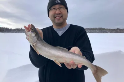 Disfruta de una cabaña calentita cerca de north pole, alaska, mientras pescas en hielo con un guía local. asa tu pesca fresca y prueba salchicha de reno—incluye equipo y chocolate caliente.
