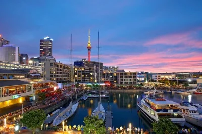 Entdecke auckland in 4 stunden: vulkanblick, schafe im cornwall park und westhaven marina. kleine gruppe mit hotelabholung inklusive.